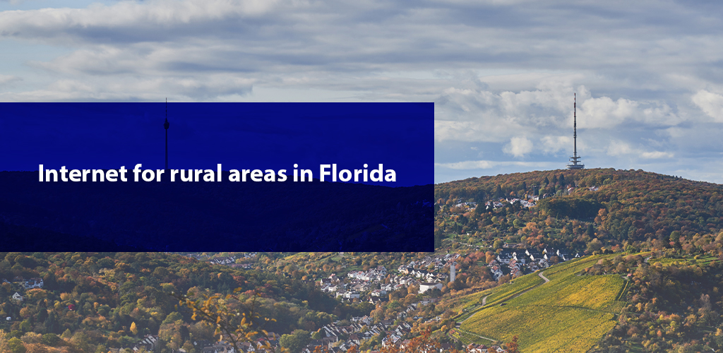 Rural Broadband Access in Florida